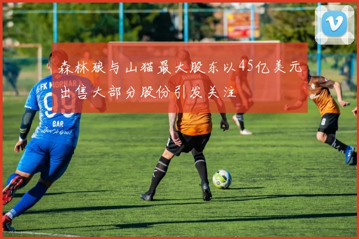 森林狼与山猫最大股东以45亿美元出售大部分股份引发关注
