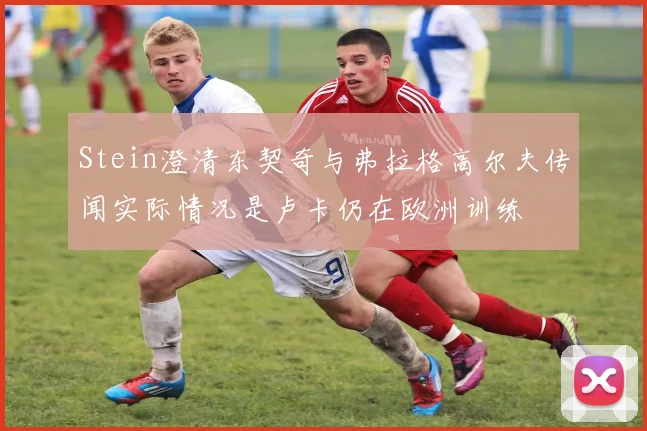 Stein澄清东契奇与弗拉格高尔夫传闻实际情况是卢卡仍在欧洲训练